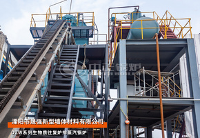 晟強DZW系列15噸生物質往復爐排鍋爐建材行業項目