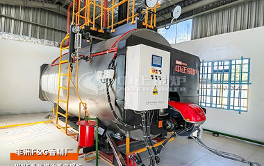 非洲博茨瓦納WNS系列3噸燃油蒸汽鍋爐香精廠項目