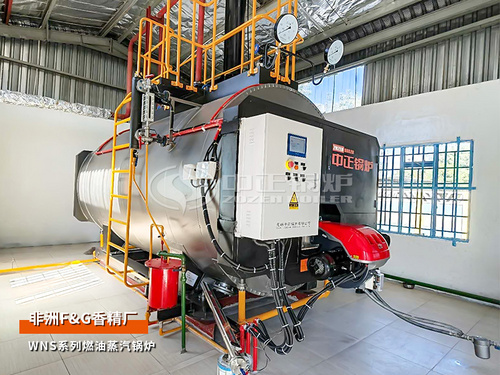 非洲博茨瓦納WNS系列3噸燃油蒸汽鍋爐香精廠項目