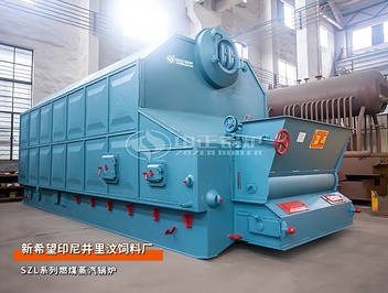 新希望印尼飼料廠SZL6噸燃煤蒸汽鍋爐項目