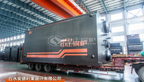白水安德利果蔬汁SZS系列18吨燃气蒸汽锅炉项目