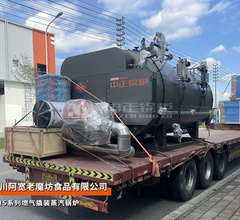 阿宽老魔坊WNS系列2吨燃气蒸汽撬装锅炉食品行业项目