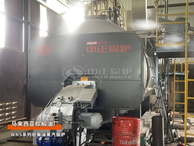 出口馬來西亞WNS系列8噸三回程輕柴油蒸汽鍋爐棕櫚油行業項目