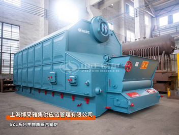 出口越南：SZL系列6噸生物質(zhì)蒸汽鍋爐泡沫材料廠(chǎng)項目