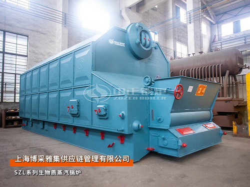 出口越南：SZL系列6噸生物質蒸汽鍋爐泡沫材料廠項目