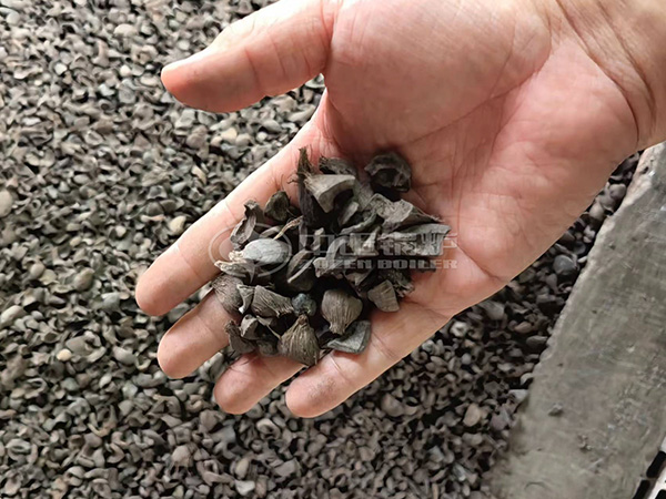 棕櫚殼作為生物質(zhì)鍋爐燃料