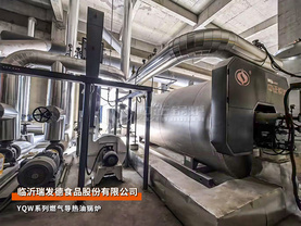 臨沂瑞發德240萬大卡YQW系列燃氣導熱油鍋爐食品行業項目