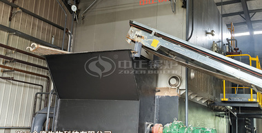 湖北金鷹SZL系列4噸生物質(zhì)蒸汽鍋爐食品行業(yè)項(xiàng)目
