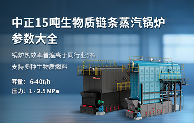 中正15噸生物質鏈條蒸汽鍋爐參數(shù)大全