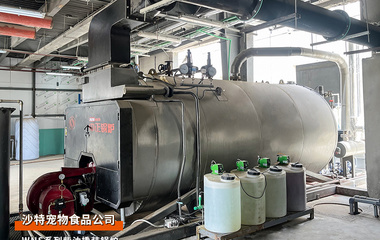 出口沙特2臺WNS系列柴油4噸撬裝蒸汽鍋爐和2.1MW熱水鍋爐寵物食品行業項目