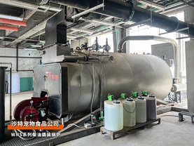 出口沙特2臺WNS系列柴油4噸撬裝蒸汽鍋爐和2.1MW熱水鍋爐寵物食品行業項目
