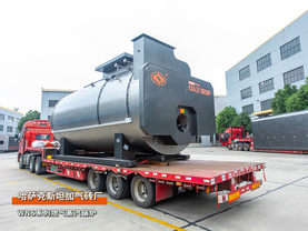 出口哈薩克斯坦WNS系列6噸燃氣蒸汽鍋爐建材加氣磚項目
