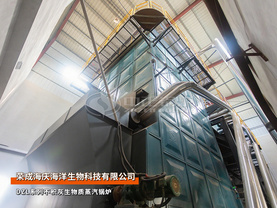 榮成海慶DZL系列20噸三鍋筒生物質蒸汽鍋爐水產加工行業(yè)項目