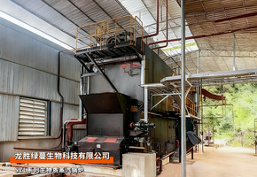 中正鍋爐SZL系列6噸生物質(zhì)蒸汽鍋爐綠蔓生物項(xiàng)目