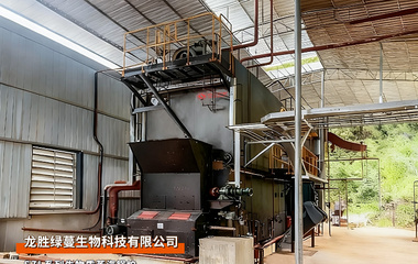 中正鍋爐SZL系列6噸生物質蒸汽鍋爐綠蔓生物項目