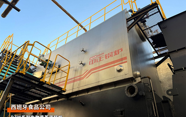 出口西班牙：中正鍋爐5臺往復爐排生物質散料蒸汽鍋爐項目