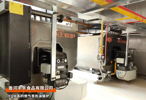 中正鍋爐：河北省香河豐豐食品YQW系列120萬大卡燃?xì)鈱?dǎo)熱油鍋爐項(xiàng)目