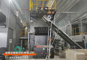 中正鍋爐4噸/小時雙鍋筒生物質(zhì)蒸汽鍋爐用于雙胞胎飼料廠項目