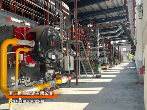 浙江天然氣鍋爐市場價