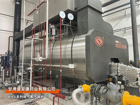 蘭州：中正鍋爐甘肅普安康藥業6噸WNS系列燃氣蒸汽鍋爐項目