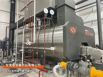 蘭州：中正鍋爐甘肅普安康藥業6噸WNS系列燃氣蒸汽鍋爐項目