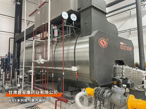蘭州:中正鍋爐甘肅普安康藥業(yè)6噸WNS系列燃?xì)庹羝仩t項(xiàng)目