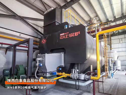 天然氣蒸汽鍋爐生產(chǎn)廠家