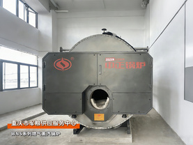 中正鍋爐WNS系列1噸/時(shí)燃?xì)庹羝仩t應(yīng)用于重慶食品行業(yè)項(xiàng)目