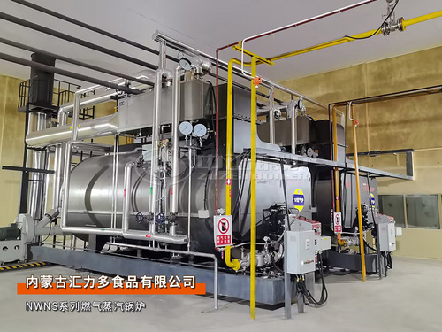 中正鍋爐為內(nèi)蒙古匯力多食品公司建設(shè)2套6噸/時(shí)天然氣蒸汽鍋爐項(xiàng)目