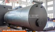 600萬(wàn)大卡節(jié)能型燃?xì)鈱?dǎo)熱油爐