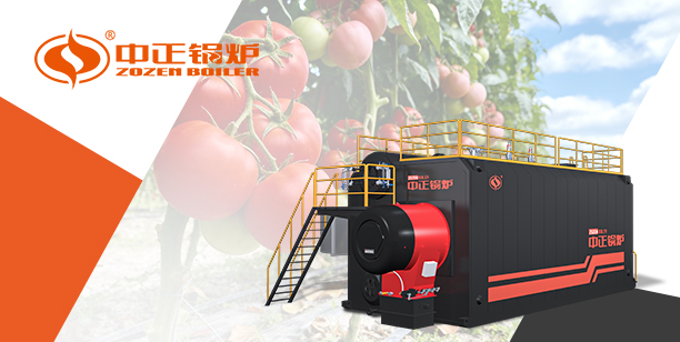 守護舌尖上的“紅色產業”：中正燃氣蒸汽鍋爐破解新疆番茄加工行業痛點