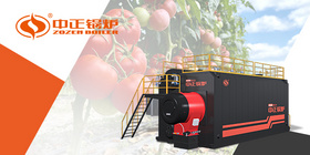 守護(hù)舌尖上的“紅色產(chǎn)業(yè)”：中正燃?xì)庹羝仩t破解新疆番茄加工行業(yè)痛點(diǎn)