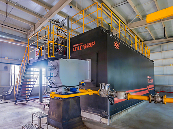 新疆東方紅番茄股份有限公司選擇中正鍋爐