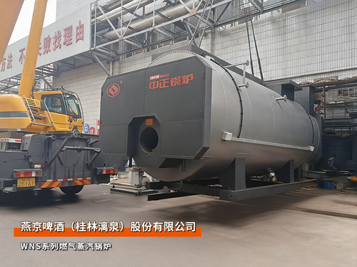 廣西綠色環(huán)保冷凝鍋爐直銷價