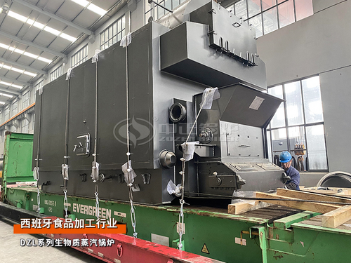 5t/h的生物質(zhì)蒸汽鍋爐系統(tǒng)投資