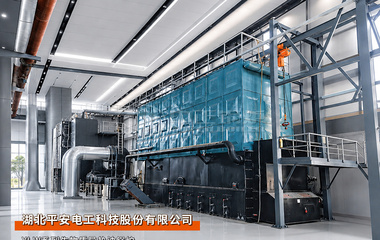 湖北平安電工：中正鍋爐YLW系列900萬大卡生物質導熱油鍋爐項目