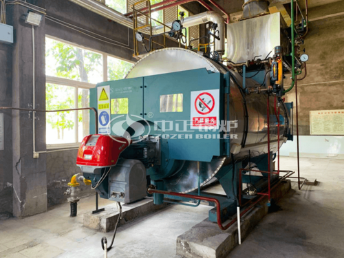 4吨WNS系列冷凝式燃气蒸汽锅炉项目（涪陵榨菜）