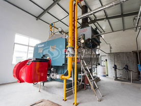 4吨WNS系列冷凝式燃气蒸汽锅炉项目 （丁堰纺织）