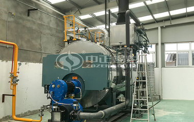 4吨WNS系列冷凝式燃气蒸汽锅炉项目（多源生物工程）