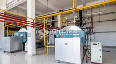 永乐高锅炉于黑龙江修建学院WNS系列节能燃气锅炉