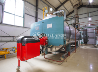 10吨永乐高WNS系列燃气蒸汽锅炉