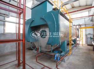 运行于金紫阳食物永乐高WNS系列燃气蒸汽锅炉