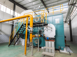 20吨永乐高燃气蒸汽锅炉