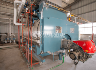 天虹食物运行的永乐高WNS低氮燃气锅炉