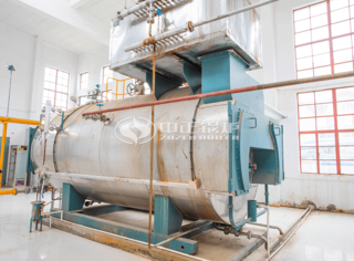 永乐高WNS系列冷凝式内燃锅炉