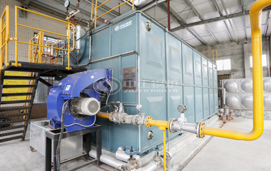 10吨SZS系列冷凝式燃气蒸汽锅炉项目（川南酿造）