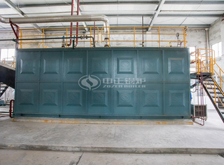 运行在食物行业的永乐高冷凝式燃气锅炉