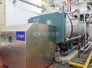 永乐高WNS冷凝式燃气锅炉