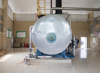 运行于食物行业的永乐高冷凝锅炉