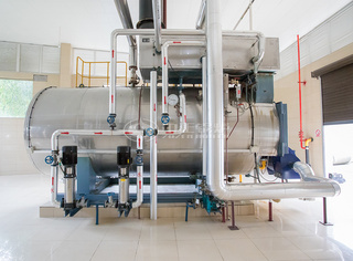 永乐高WNS系列低氮燃气蒸汽锅炉